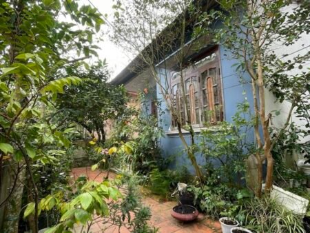 Bán Nhà Cấp 4 Hẻm Nhỏ Mai Hắc Đế, Phường 6, Đà Lạt