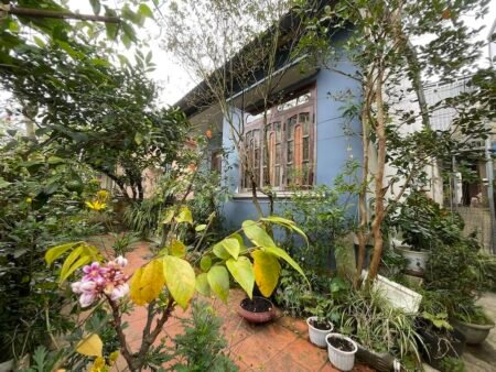 Bán Nhà Cấp 4 Hẻm Nhỏ Mai Hắc Đế, Phường 6, Đà Lạt