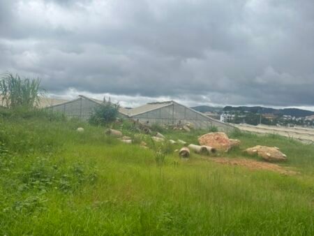 Đất Mặt Tiền KQH Tô Hiệu, P7, Đà Lạt, 108.6 m² - 100% thổ cư, ngang 5m