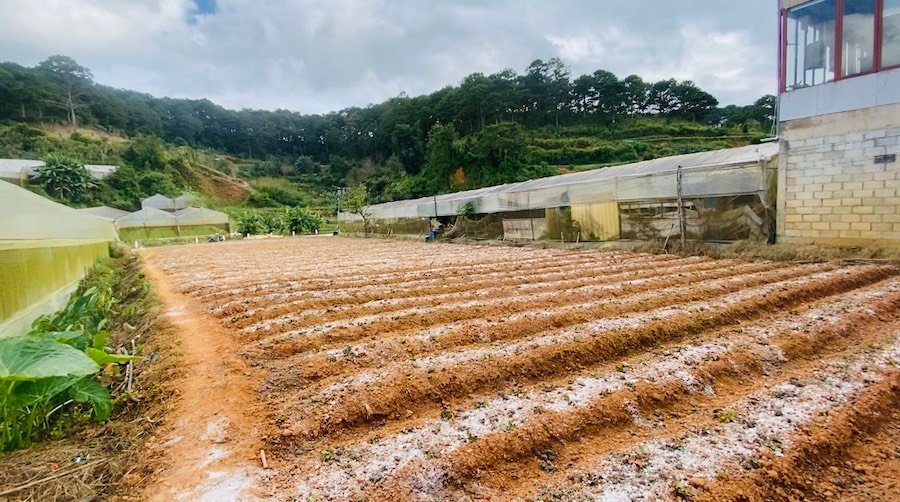 Nhà 2 Tầng Mặt Tiền Triệu Việt Vương, P3, 1213m2, Giá 35 tỷ Nhà 2 Tầng Mặt Tiền Triệu Việt Vương, P3, 1213m2, Giá 35 tỷ