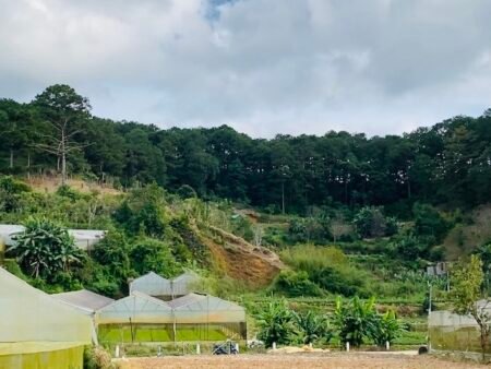 Nhà 2 Tầng Mặt Tiền Triệu Việt Vương, P3, 1213m2, Giá 35 tỷ