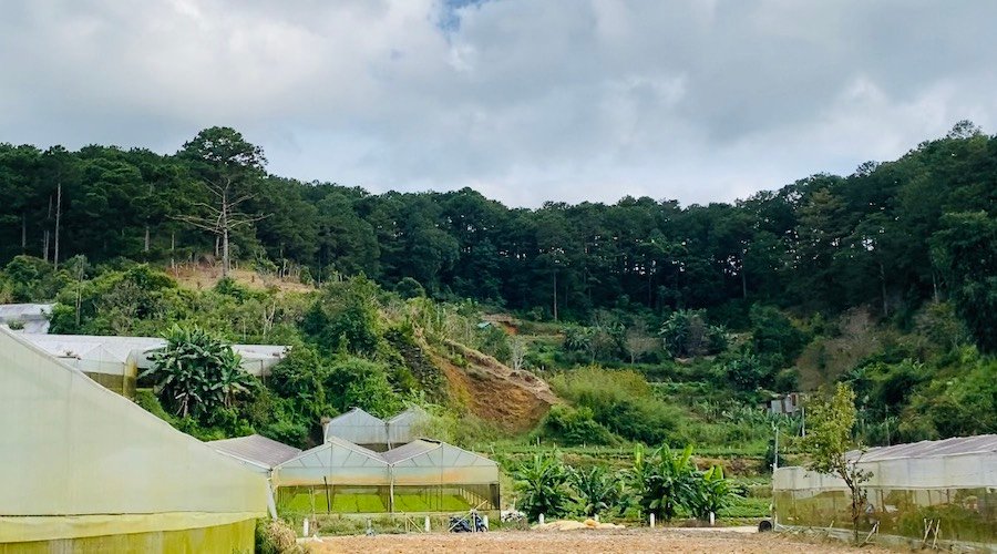 Nhà 2 Tầng Mặt Tiền Triệu Việt Vương, P3, 1213m2, Giá 35 tỷ Nhà 2 Tầng Mặt Tiền Triệu Việt Vương, P3, 1213m2, Giá 35 tỷ