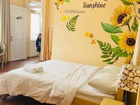 Homestay Hẻm Ô Tô Nam Hồ, P11, Đà Lạt, 232.88 m² mặt tiền 18m