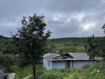 Nhà Cấp 4 và Đất Nông Nghiệp Mặt Tiền Đất Làng, Xuân Trường, Đà Lạt