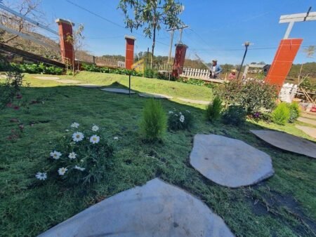 Nhà Cấp 4 Hẻm Ô Tô Lớn Măng Lin, Phường 7, 201 m² ngang 12m