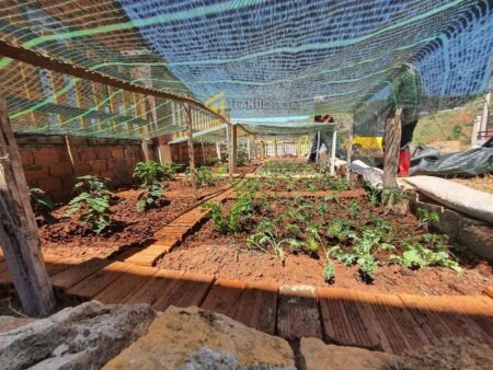 Nhà Cấp 4 Hẻm Ô Tô Lớn Măng Lin, Phường 7, 201 m² ngang 12m