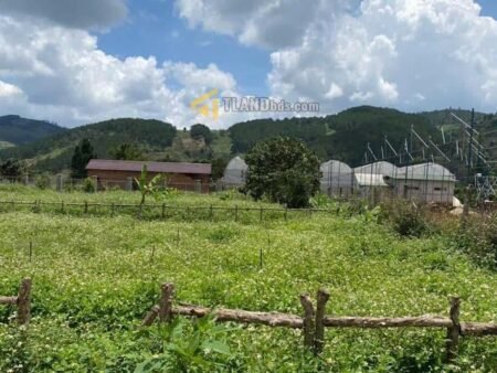 Bán 2 lô Đất Thổ Cư Tại Tà Nung, Đà Lạt – Vị Trí Đẹp 200m2 chỉ 2.3 tỷ