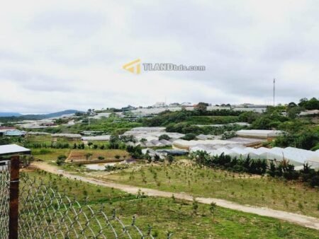 Cơ Hội Sở Hữu Đất Đà Lạt - Nam Hồ, P11, 205 m² mặt tiền 13.1m