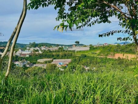 Đất Mặt Tiền KQH Quốc Lộ 20, Xuân Trường, Đà Lạt, 591 m² ngang 18.7m