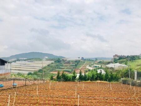 Đất Biệt Thự Nghỉ Dưỡng Hai Mặt Tiền Măng Lin, P7, 5.977m²