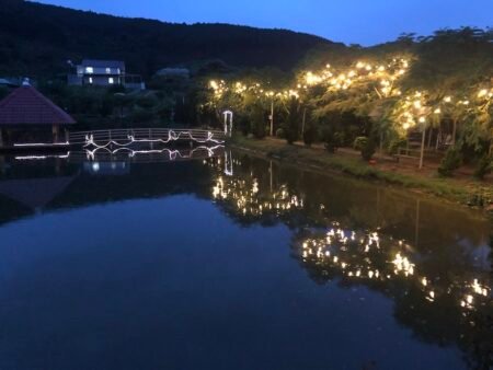 Bán Đất Nông Nghiệp Tà Nung, Đà Lạt, 7.000 m² đường trước nhà 6m