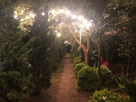 Bán Đất Nông Nghiệp Tà Nung, Đà Lạt, 7.000 m² đường trước nhà 6m