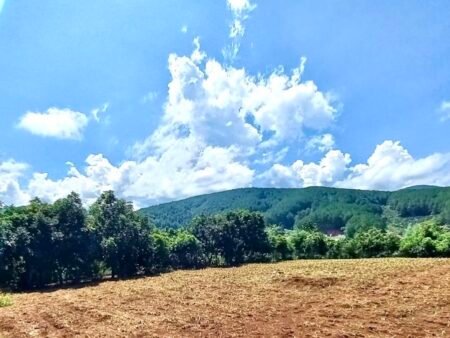 Nhà Cấp 4 Tại Tà Nung, Đà Lạt, 1.160 m² mặt tiền 35m