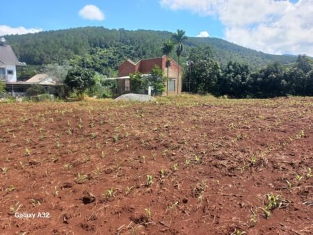 Nhà Cấp 4 Tại Tà Nung, Đà Lạt, 1.160 m² mặt tiền 35m