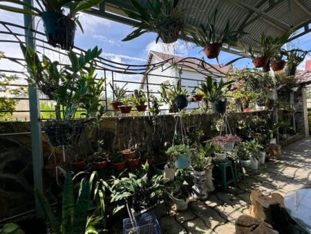 Villa 2 tầng Yersin, P9, Đà Lạt 200m2 ngang 10m