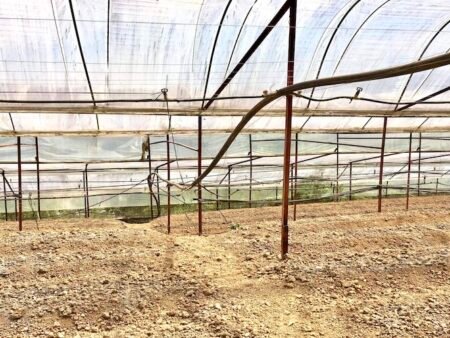 Đất Nền Tại Xuân Trường, Đà Lạt 1.126,79 m² với mặt tiền rộng 50m