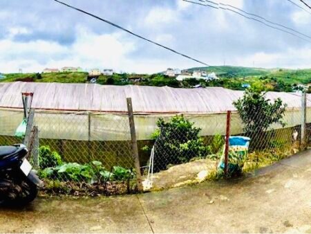 Đất Nền Tại Xuân Trường, Đà Lạt 1.126,79 m² với mặt tiền rộng 50m