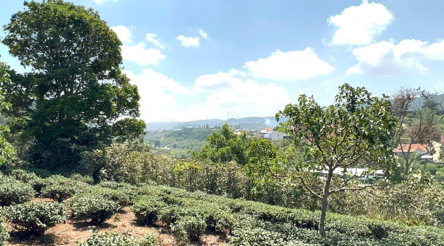 Bán 5 Lô Đất Nông Nghiệp Sổ Riêng Tại Xuân Trường, Đà Lạt