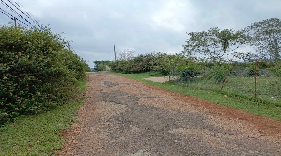 Đất Hẻm Ô Tô Lớn Măng Lin, P7, Đà Lạt, 200 m² mặt tiền 18m Đất Hẻm Ô Tô Lớn Măng Lin, P7, Đà Lạt, 200 m² mặt tiền 18m