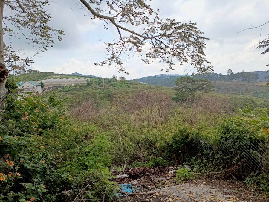 Đất Hẻm Ô Tô Lớn Măng Lin, P7, Đà Lạt, 200 m² mặt tiền 18m Đất Hẻm Ô Tô Lớn Măng Lin, P7, Đà Lạt, 200 m² mặt tiền 18m