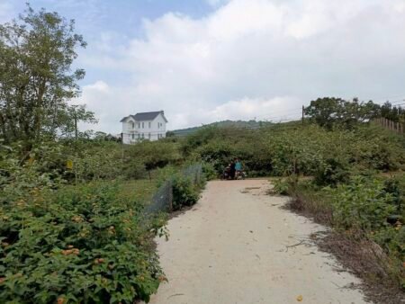 Đất Hẻm Ô Tô Lớn Măng Lin, P7, Đà Lạt, 200 m² mặt tiền 18m