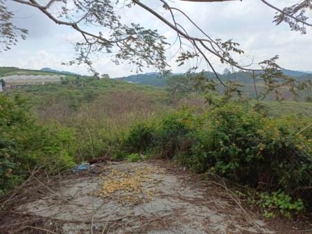 Đất Hẻm Ô Tô Lớn Măng Lin, P7, Đà Lạt, 200 m² mặt tiền 18m