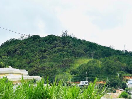 Biệt Thự Sân Vườn Có View Tuyệt Đẹp Hùng Vương, P9, Đà Lạt