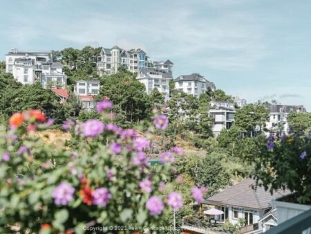 Villa 3 Tầng Trịnh Hoài Đức, P11, Đà Lạt, 235 m² mặt tiền rộng 10m