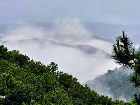 Đất đẹp KQH Viện Nghiên Cứu Hạt Nhân, P11, Đà Lạt, 328m² sổ riêng