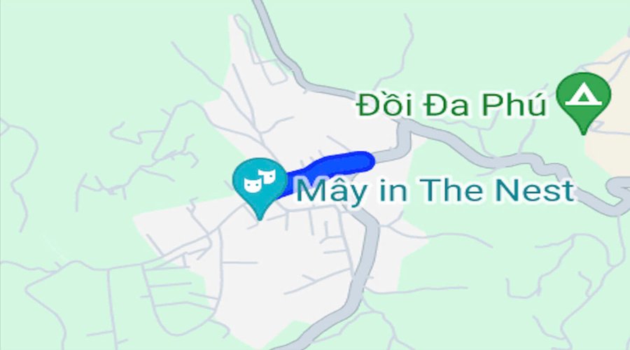 Thông Tin Chi Tiết Măng Ling Đà Lạt