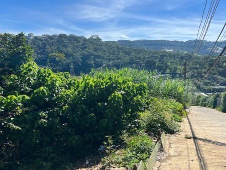 Đất Nông Nghiệp Hoàng Hoa Thám, P10, Đà Lạt, 300 m² mặt tiền rộng 8m