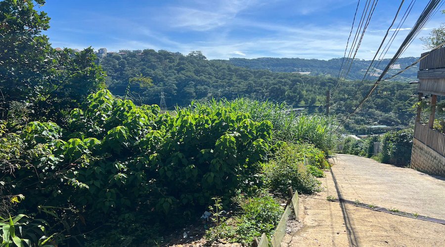 Đất Nông Nghiệp Hoàng Hoa Thám, P10, Đà Lạt, 300 m² mặt tiền rộng 8m Đất Nông Nghiệp Hoàng Hoa Thám, P10, Đà Lạt, 300 m² mặt tiền rộng 8m