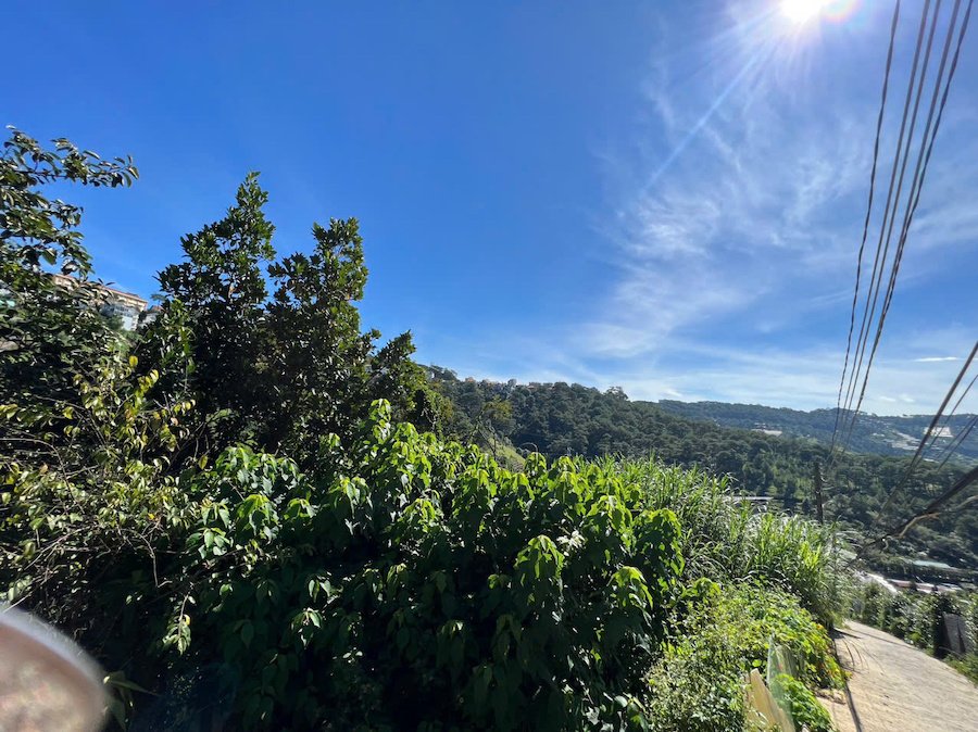 Đất Nông Nghiệp Hoàng Hoa Thám, P10, Đà Lạt, 300 m² mặt tiền rộng 8m Đất Nông Nghiệp Hoàng Hoa Thám, P10, Đà Lạt, 300 m² mặt tiền rộng 8m