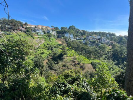 Đất Nông Nghiệp Hoàng Hoa Thám, P10, Đà Lạt, 300 m² mặt tiền rộng 8m