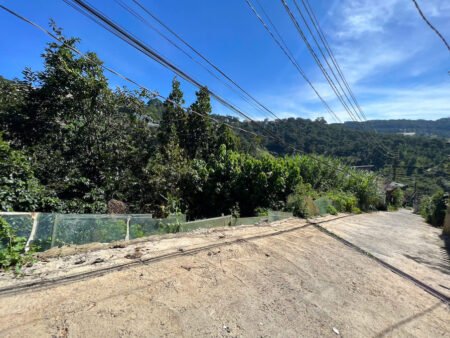 Đất Nông Nghiệp Hoàng Hoa Thám, P10, Đà Lạt, 300 m² mặt tiền rộng 8m