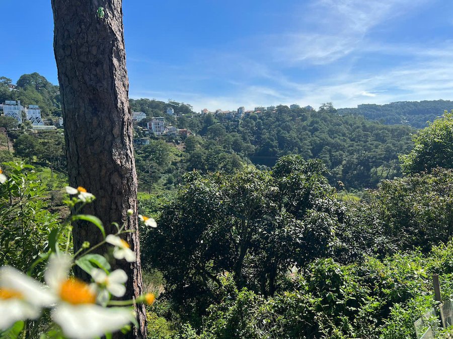 Đất Nông Nghiệp Hoàng Hoa Thám, P10, Đà Lạt, 300 m² mặt tiền rộng 8m Đất Nông Nghiệp Hoàng Hoa Thám, P10, Đà Lạt, 300 m² mặt tiền rộng 8m