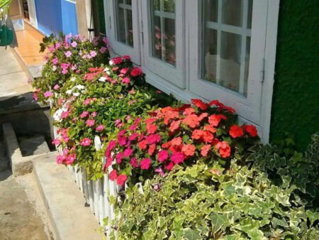 Nhà trung tâm Đà Lạt 2 Tầng Mai Hoa Thôn, Phường 2, 53m2 SHR