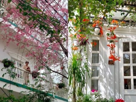 Villa 3 tầng Mặt Tiền KQH Hùng Vương, P10, Đà Lạt, 18m x 13m