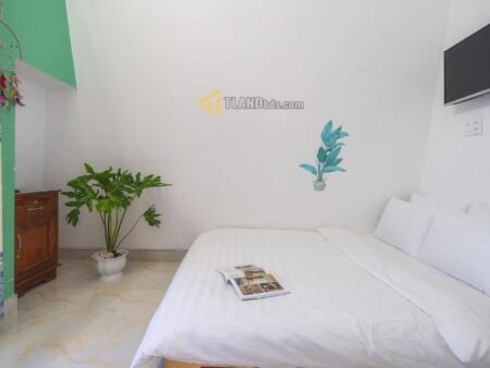 Villa 4 Tầng Hẻm Ô Tô Lớn Mai Anh Đào, P8, Đà Lạt, mặt tiền rộng 25.27m