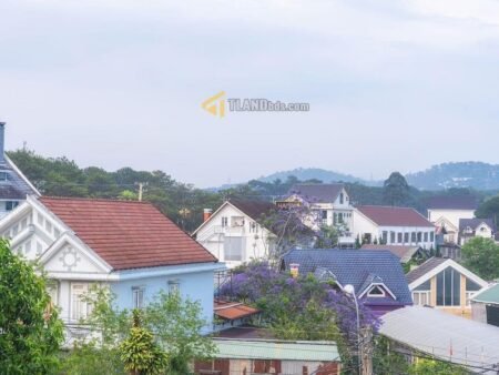Villa 4 Tầng Hẻm Ô Tô Lớn Mai Anh Đào, P8, Đà Lạt, mặt tiền rộng 25.27m