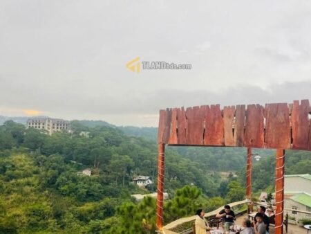 Homestay Hẻm Ô Tô Lớn Ba Tháng Tư, Phường 3, 29,68m x 25,5m