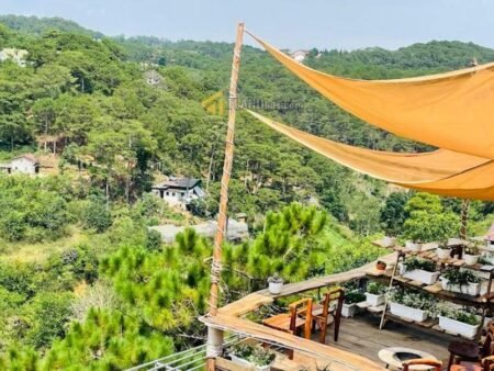 Homestay Hẻm Ô Tô Lớn Ba Tháng Tư, Phường 3, 29,68m x 25,5m