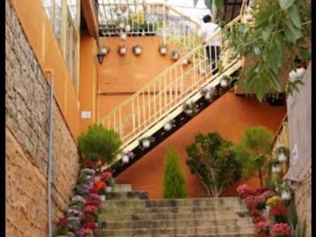 Homestay Hẻm Ô Tô Lớn Ba Tháng Tư, Phường 3, 29,68m x 25,5m