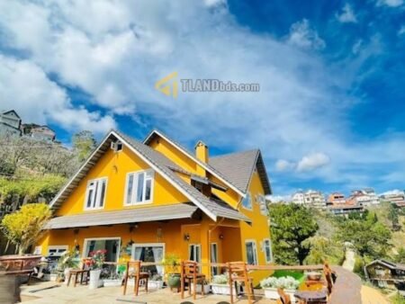 Homestay Hẻm Ô Tô Lớn Ba Tháng Tư, Phường 3, 29,68m x 25,5m