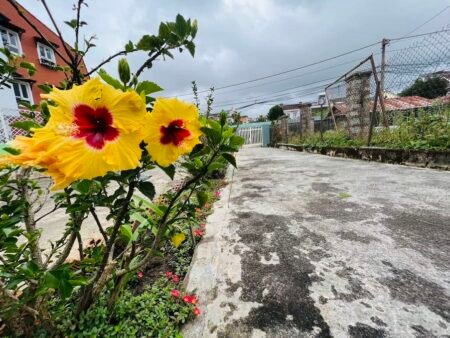 Đất Mặt Tiền Trần Quý Cáp, Phường 10, Đà Lạt, rộng 16m hợp KD