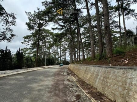 Villa Mặt Tiền Khởi Nghĩa Bắc Sơn, P10, Đà Lạt mặt tiền rộng rãi 16m