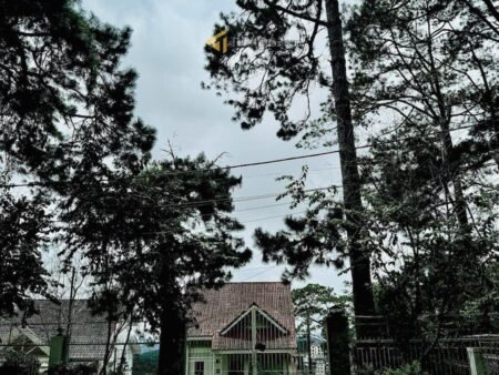 Villa Mặt Tiền Khởi Nghĩa Bắc Sơn, P10, Đà Lạt mặt tiền rộng rãi 16m