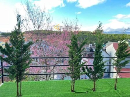 Mua bán nhà đất Cổ Loa Đà Lạt