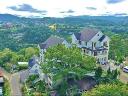 Villa 4 Tầng Hai Mặt Tiền Đặng Thái Thân, P3, cho thuê 2 tỷ đồng/năm