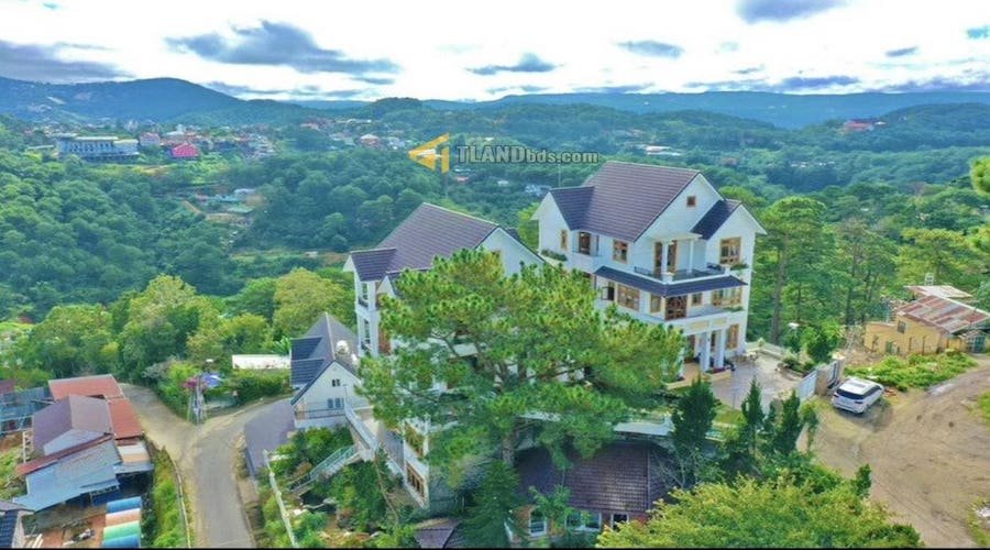 Villa 4 Tầng Hai Mặt Tiền Đặng Thái Thân, P3, cho thuê 2 tỷ đồng/năm